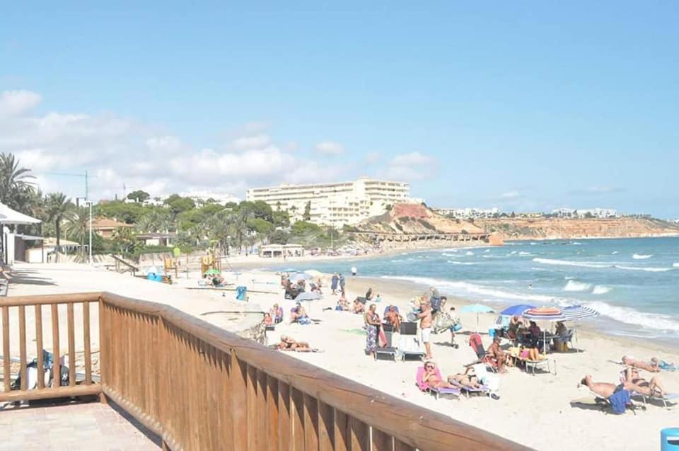 Apartament Jardin De Alba In Villamartin Orihuela Exteriör bild